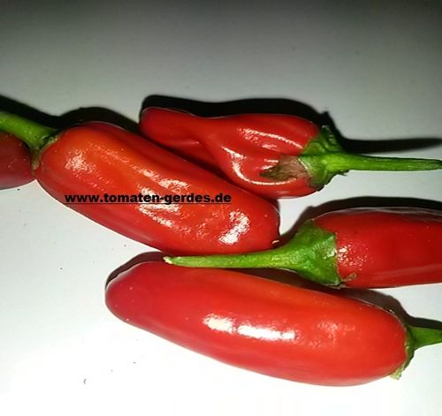 Boy Peppers